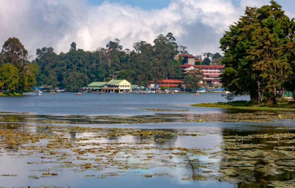 Kodaikanal Lake in Kodaikanal Pictures