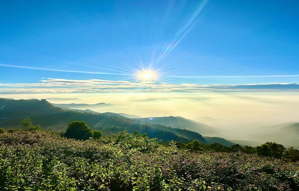Coakers Walk in Kodaikanal Pictures